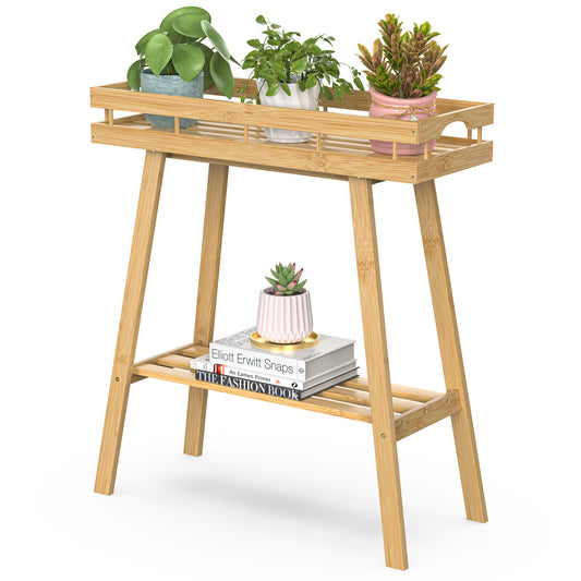 2-Tier Bamboo Plant Stand Table